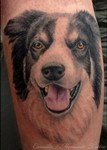 Camilla_memento_tattoo_border_collie_dog_portrait.jpg