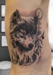 camilla_memento_tattoo_wolf_realistic_blackgrey_ulv_realisme_tatovering.jpg